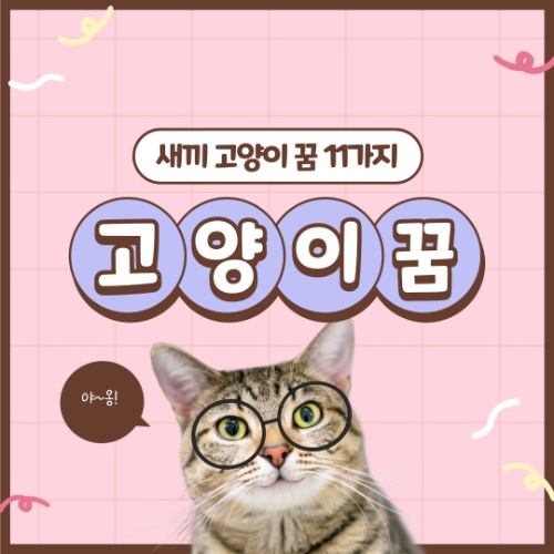 고양이 꿈, 로또 당첨의 길몽? 새끼 고양이 꿈 해몽 11가지