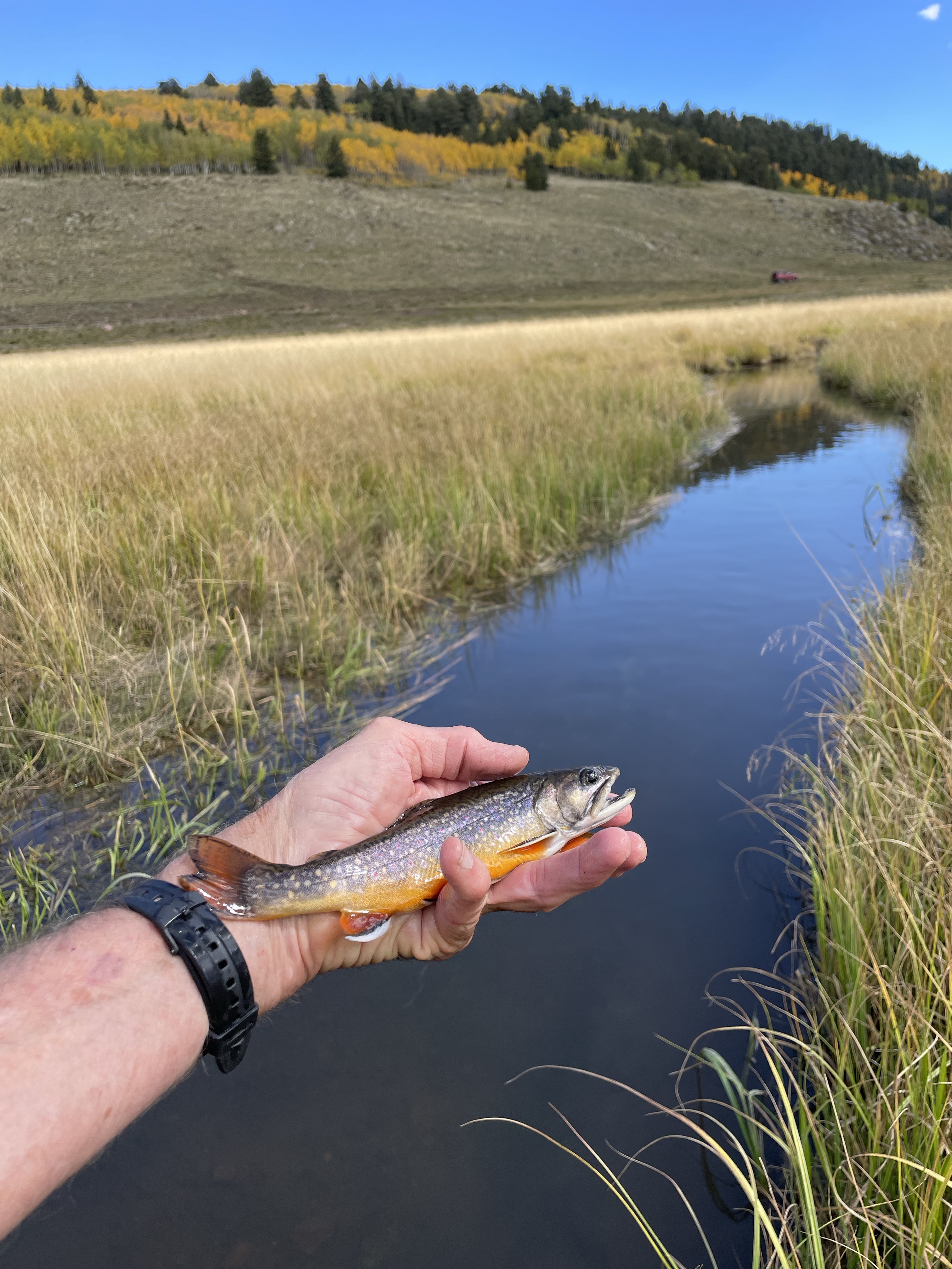 La Jara Creek Fishing – Off-The-Beaten Path Adventures and