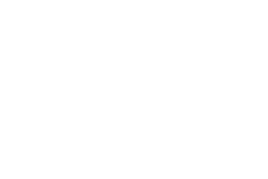 DANA Logo