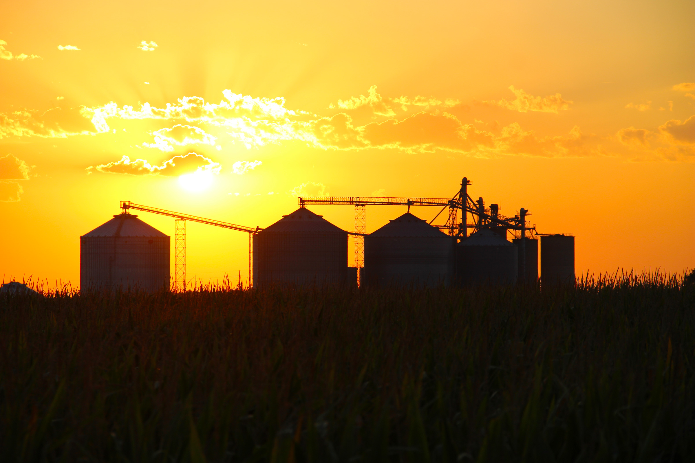 Hoosier AG Grain Systems