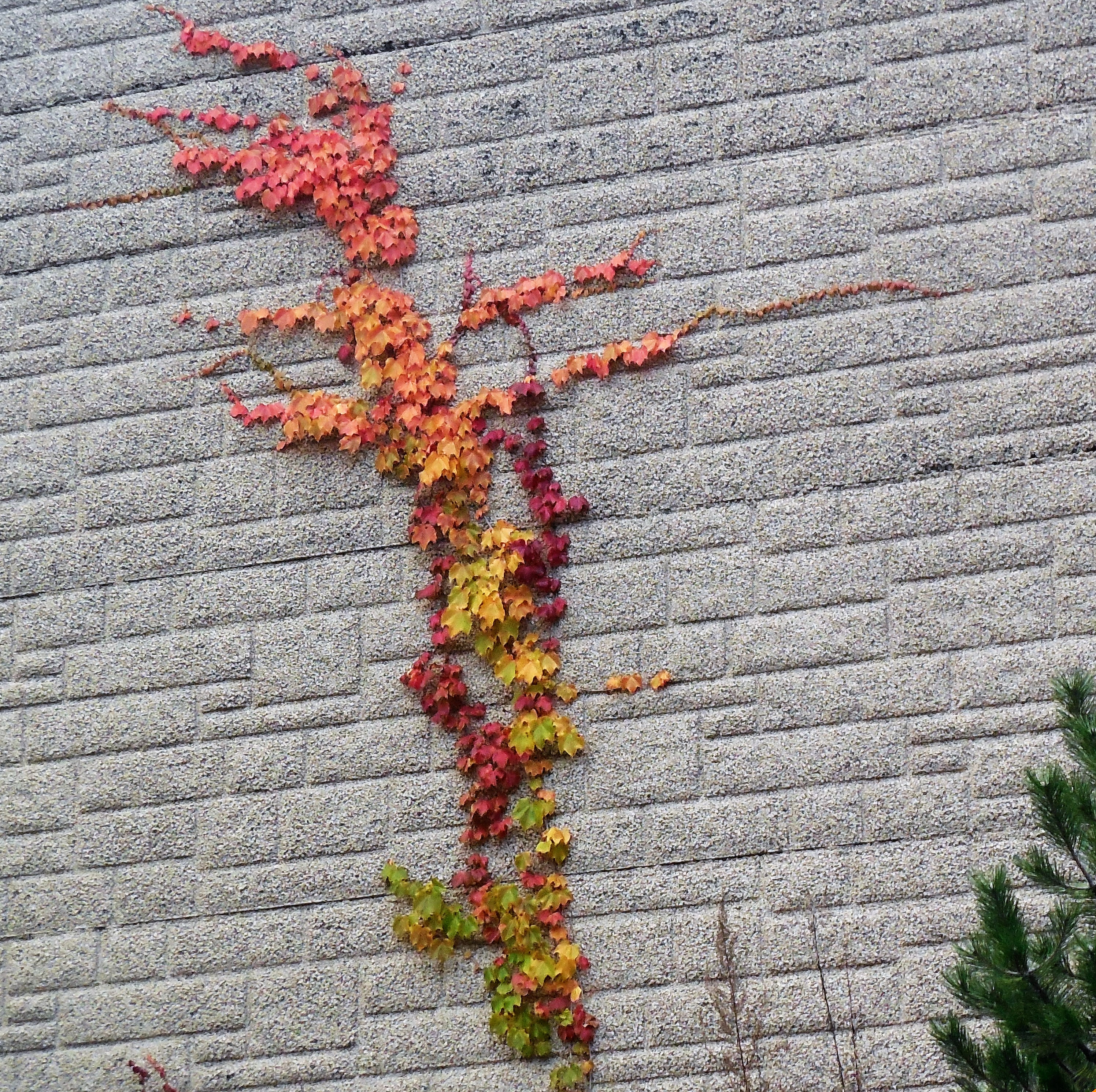 DSCN4692
