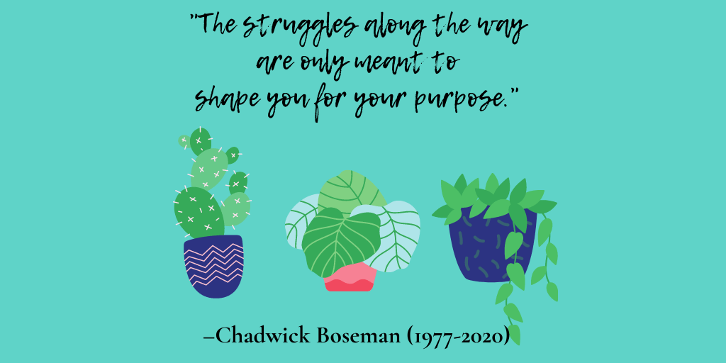 Chadwick Boseman - purpose