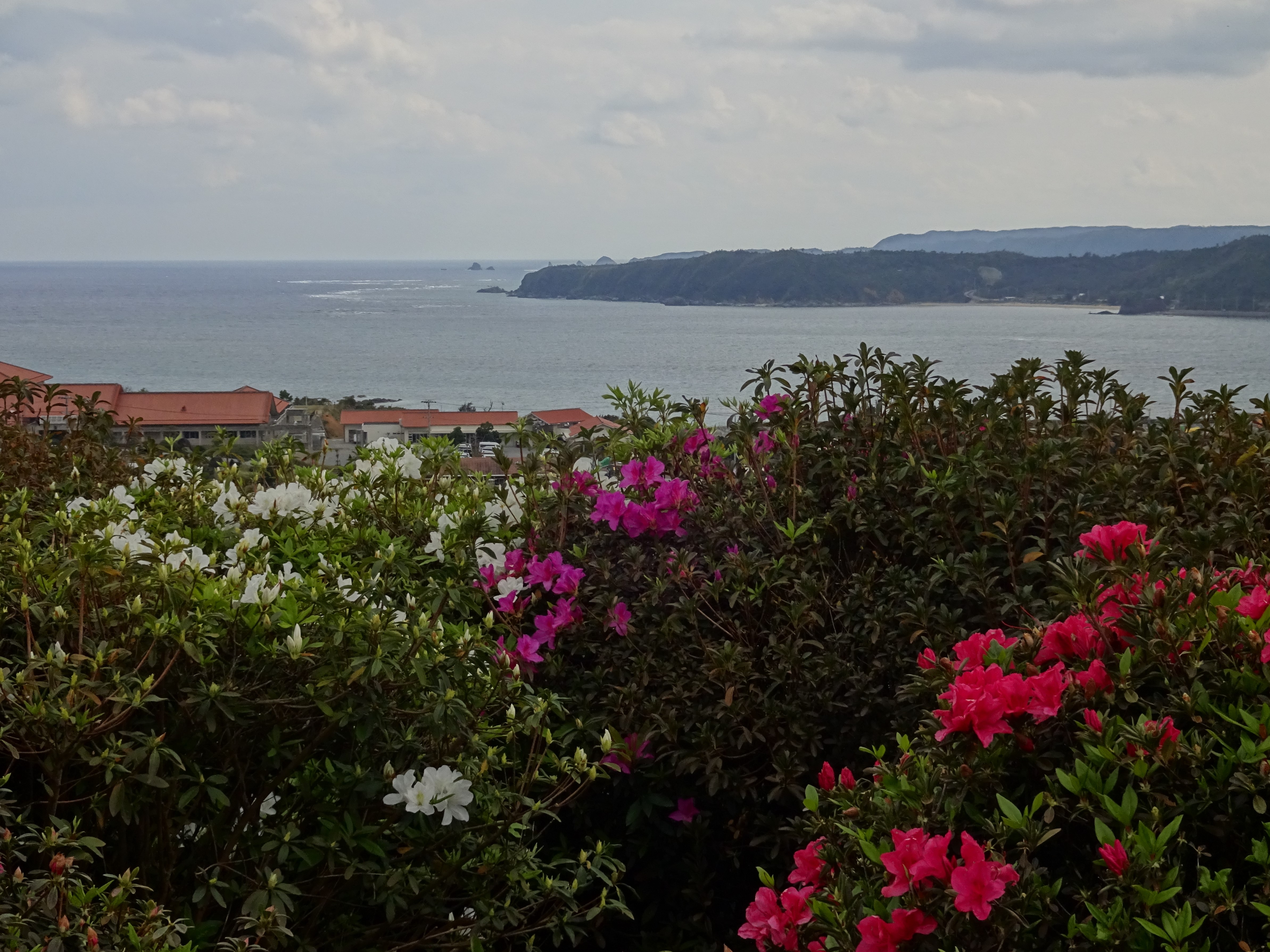 dsc003031.jpg?fit=1200,900&ssl=1