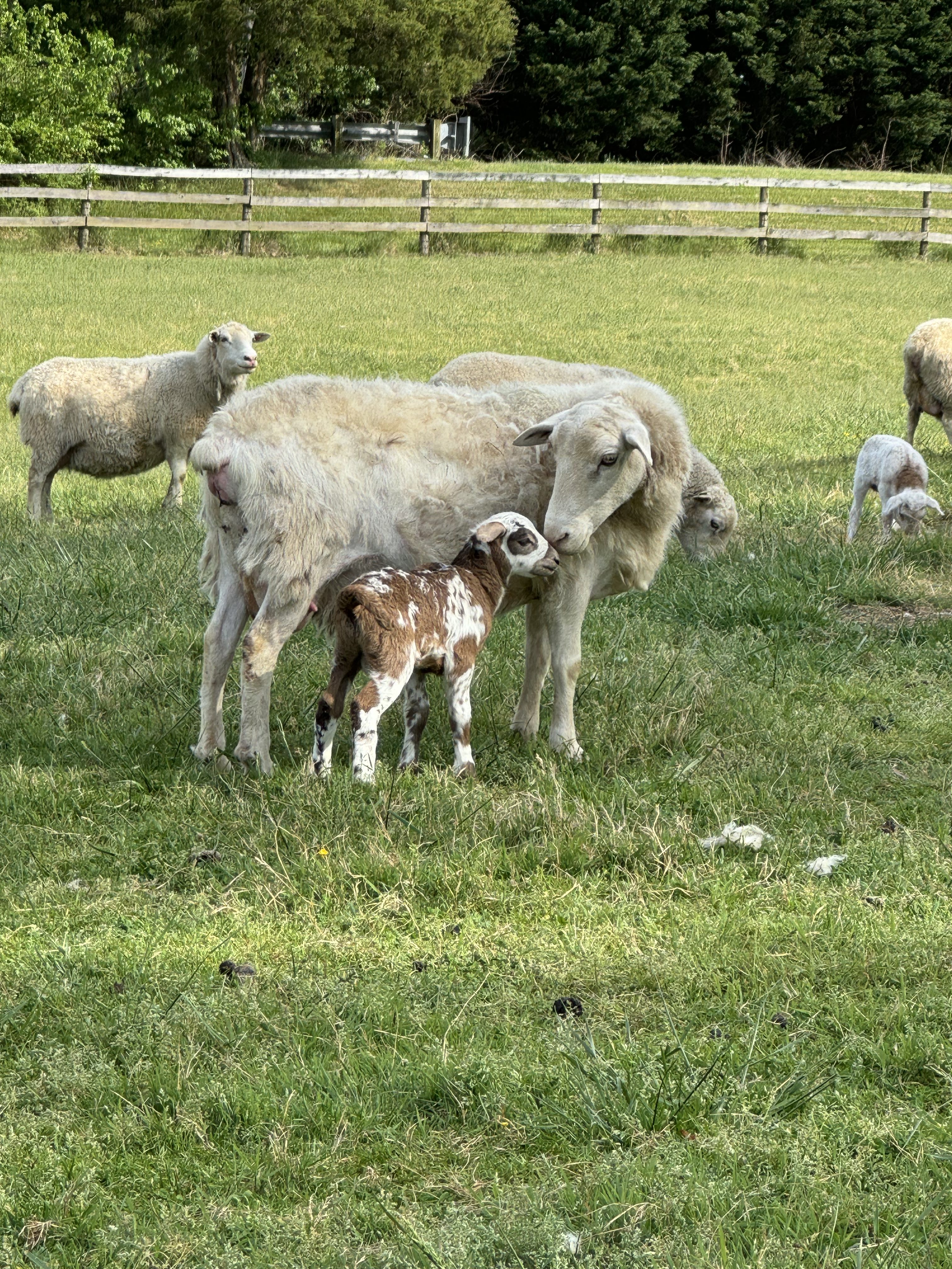 HopScratch Farm
