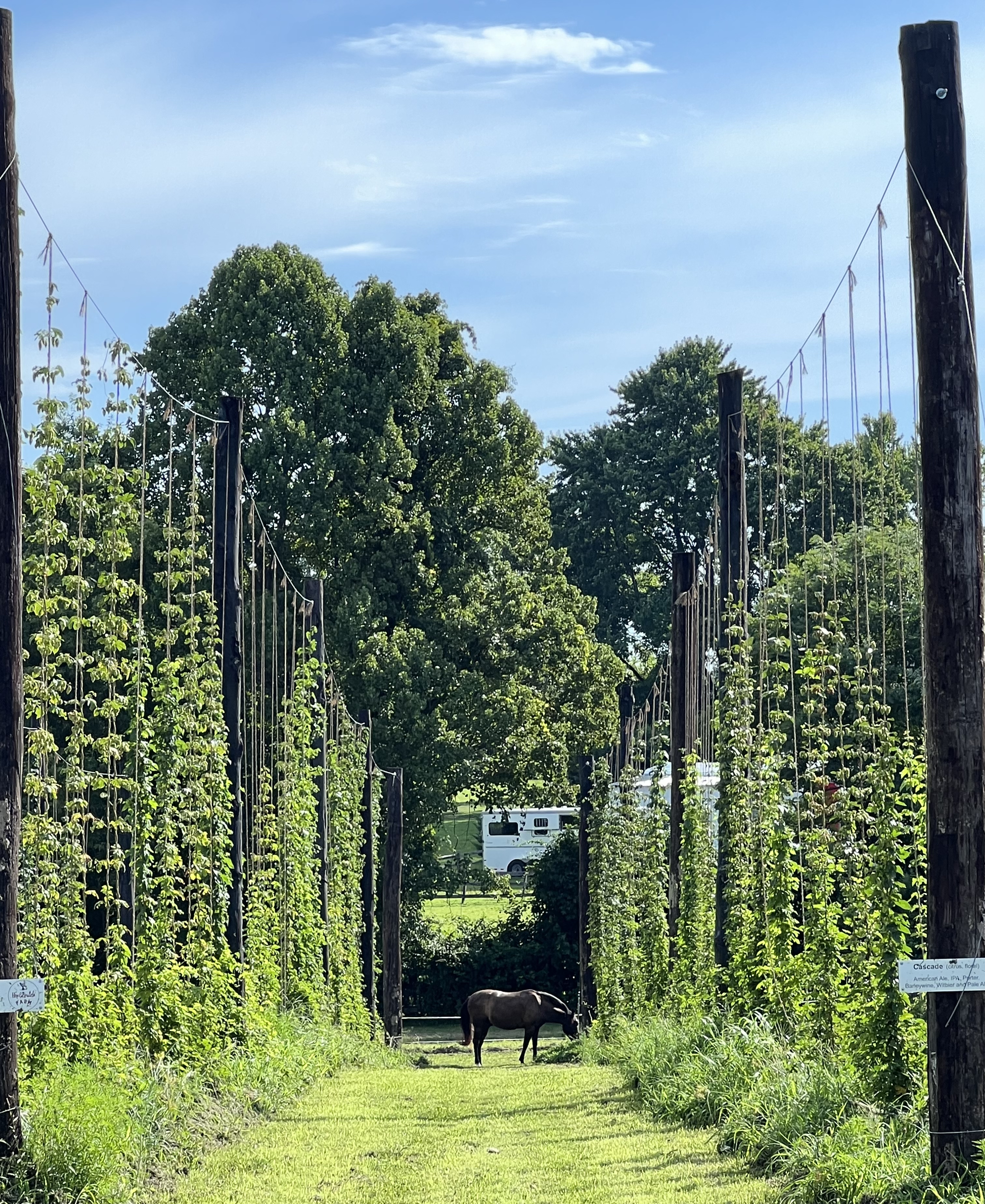 HopScratch Farm