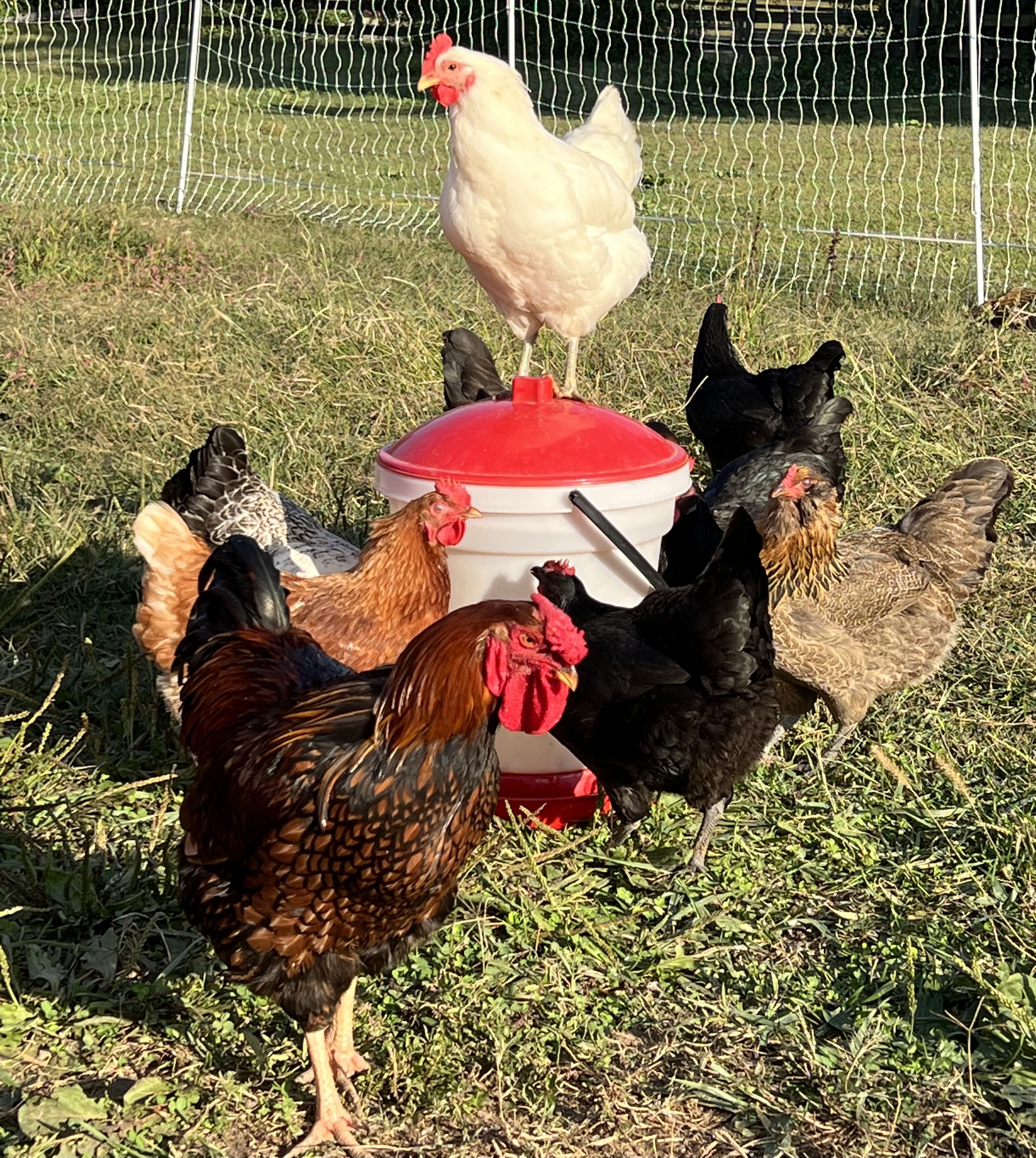 HopScratch Farm