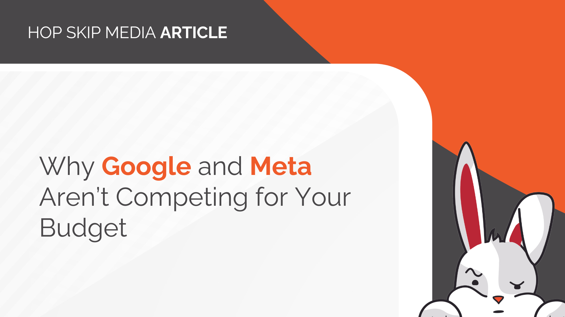 Article header with the title "Why Google and Meta Aren’t Competing for Your Budget" and a cartoon rabbit in the bottom right corner, highlighting the evolving landscape of Meta Ads.