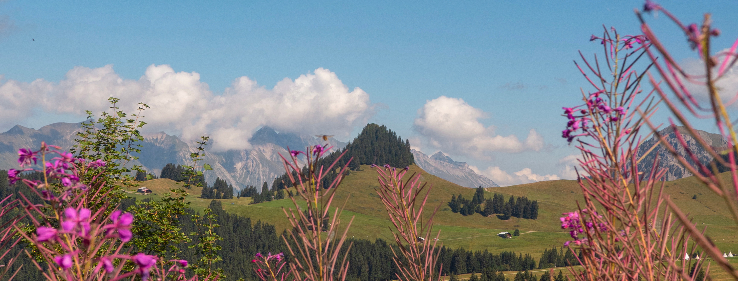 Montagne suisse, Col des Mosses