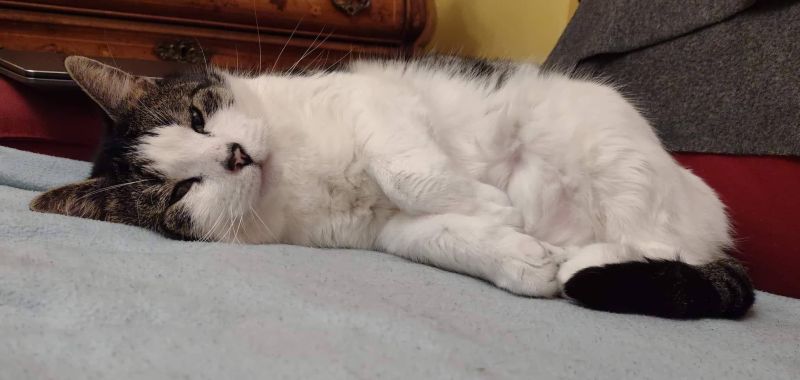 Github Danielsloan Bloomberg Project Https Strathclyde Github Io Befftafall2018 - Ocean Pictures - Stunning Full HD Collection