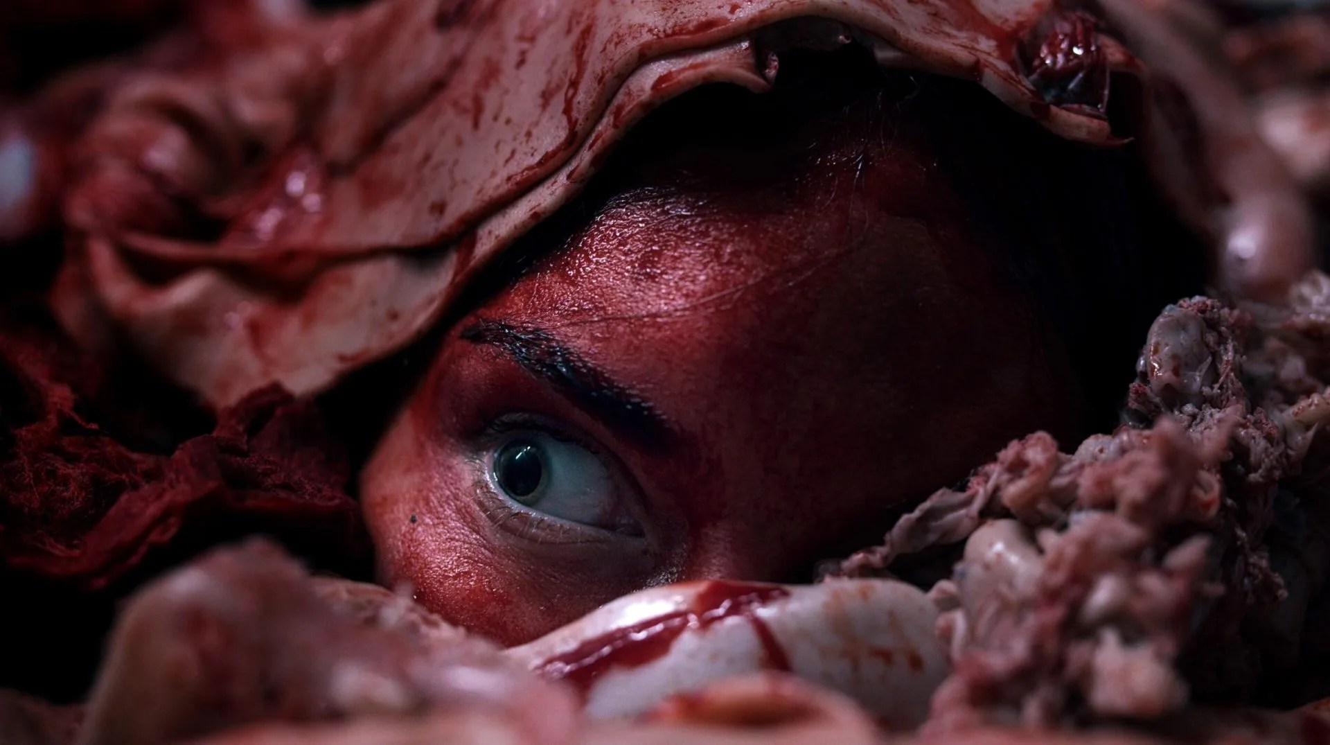 Meat Kills – Uno slasher olandese mai visto prima!