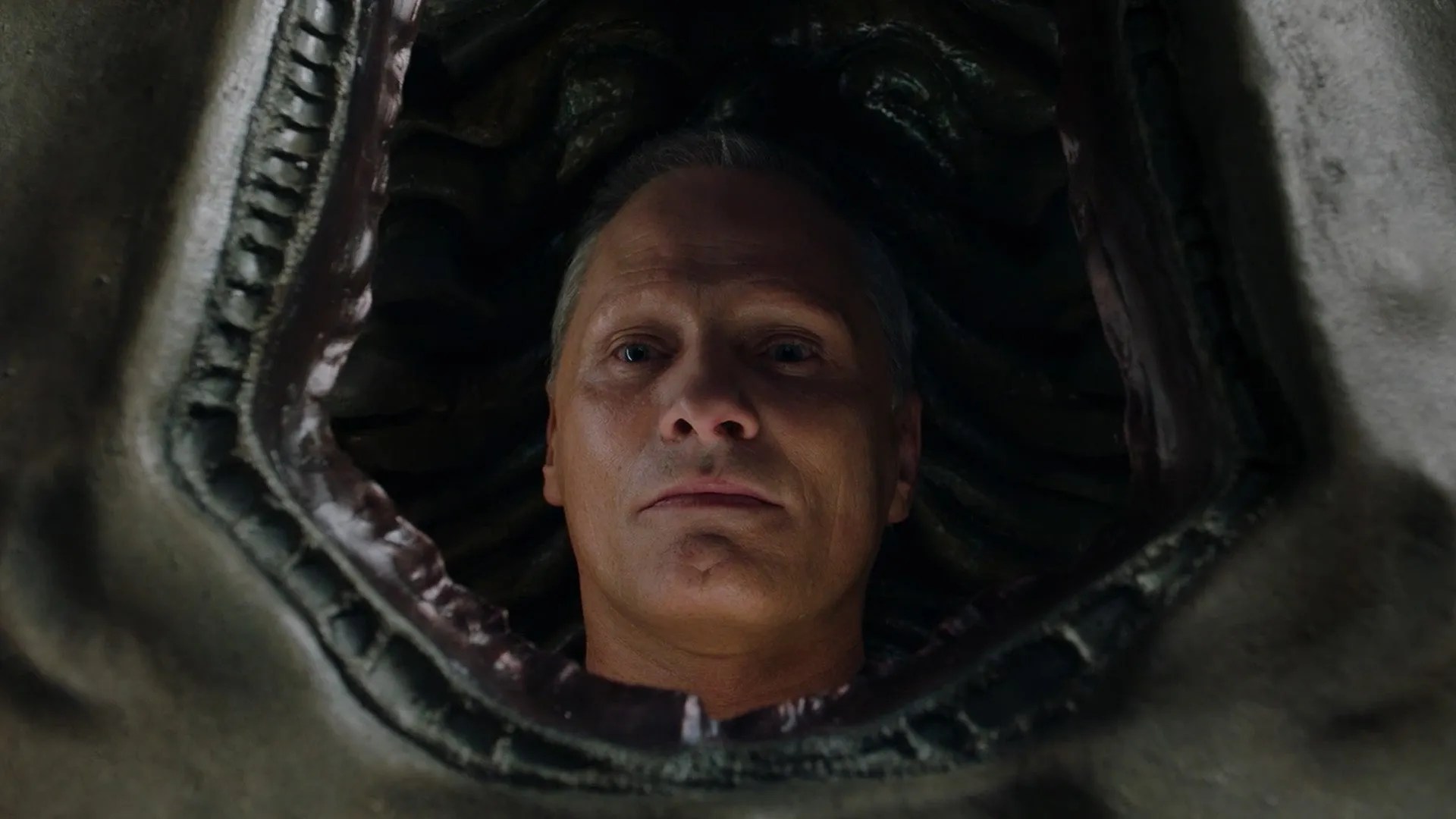 Crimes of the Future (2022) – Il corpo come linguaggio 
