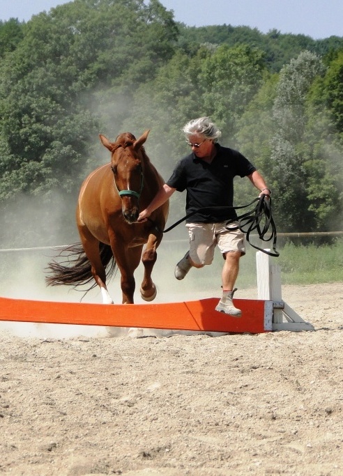 Volle Action