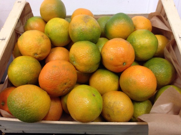 Vaizdo rezultatas pagal uÅ¾klausÄ âeco mandarinasâ