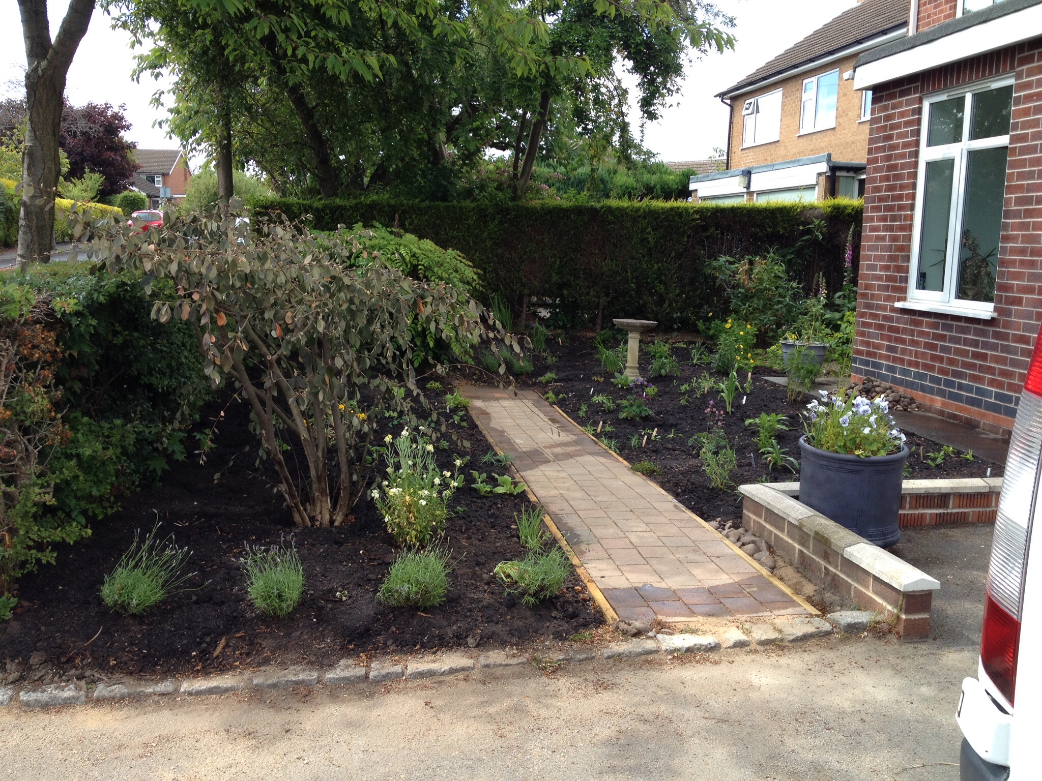 New path to bird feeder goes in