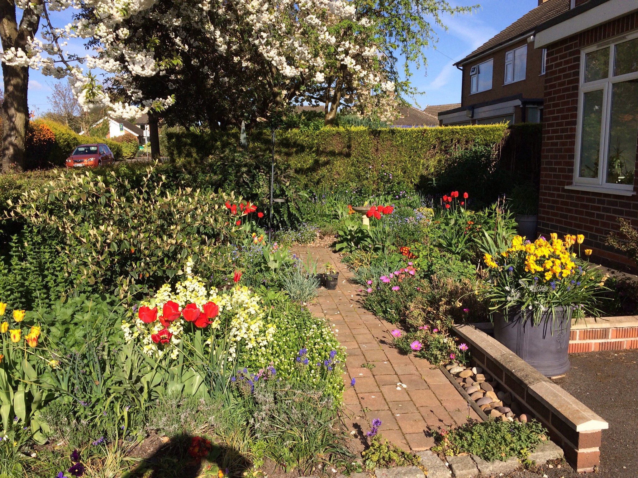 Flowers filling the space