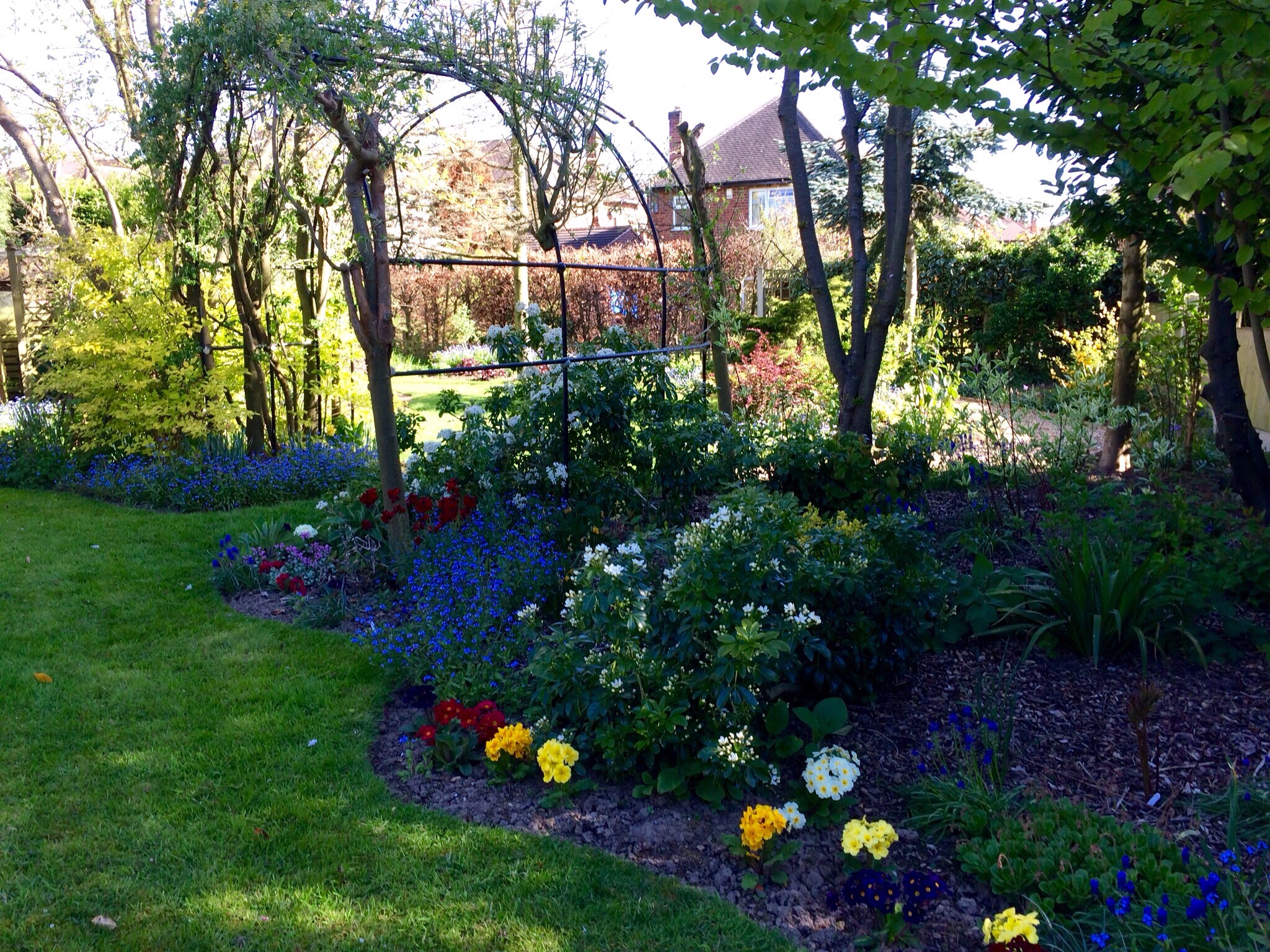 New plants for colour