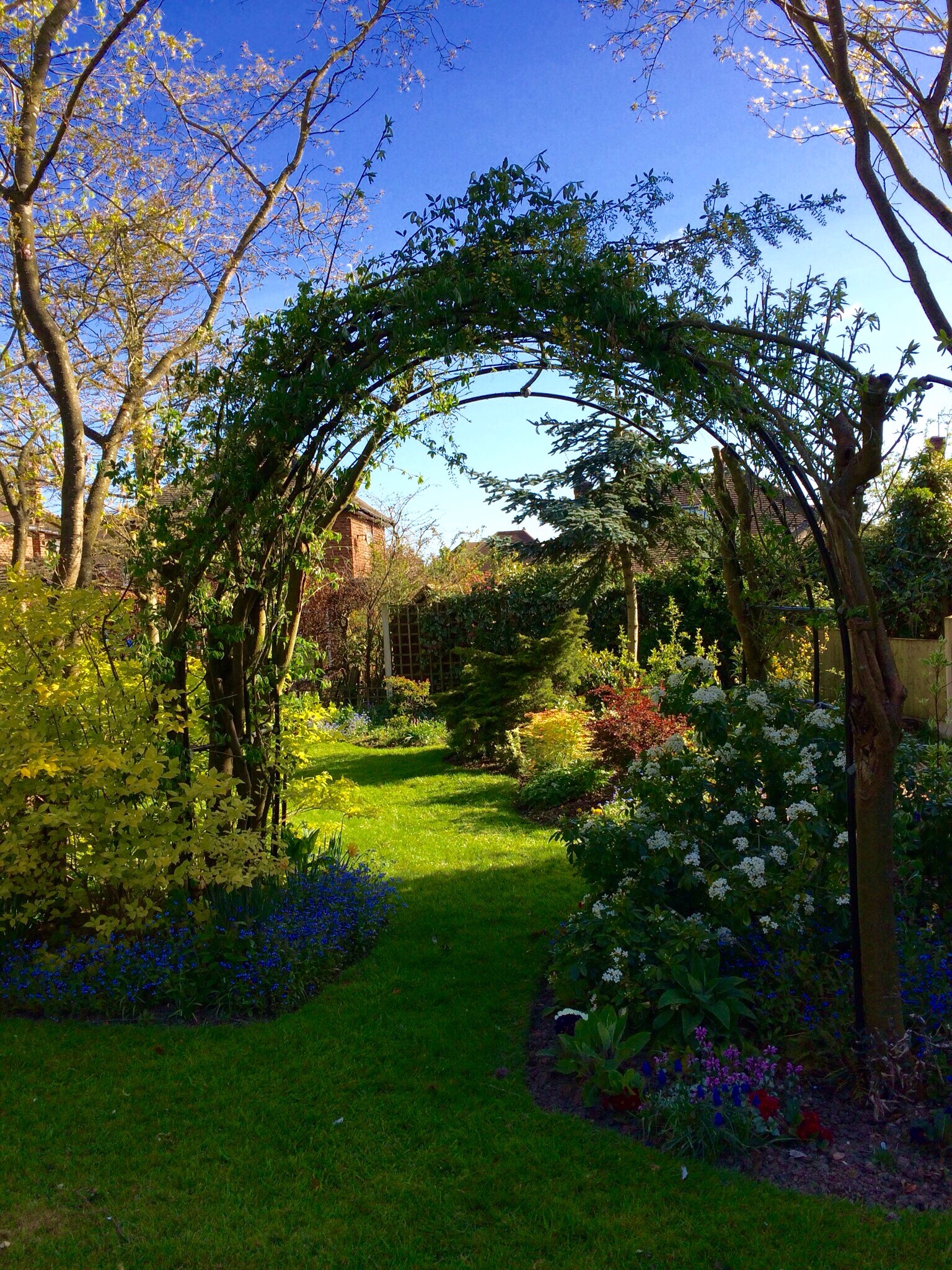 Tied in and tidied up