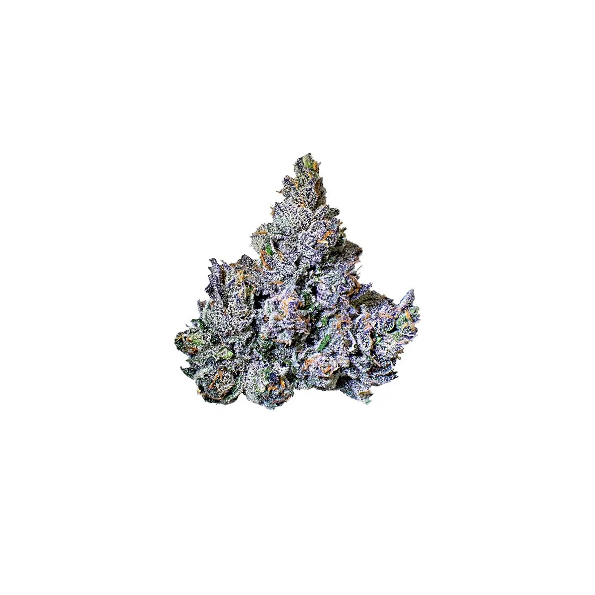 Z33 – Cannabis Clones