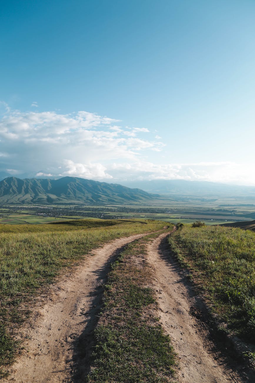 landscape photography of farmland