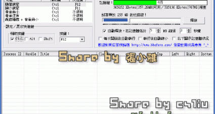 視窗隱藏器 V1.3