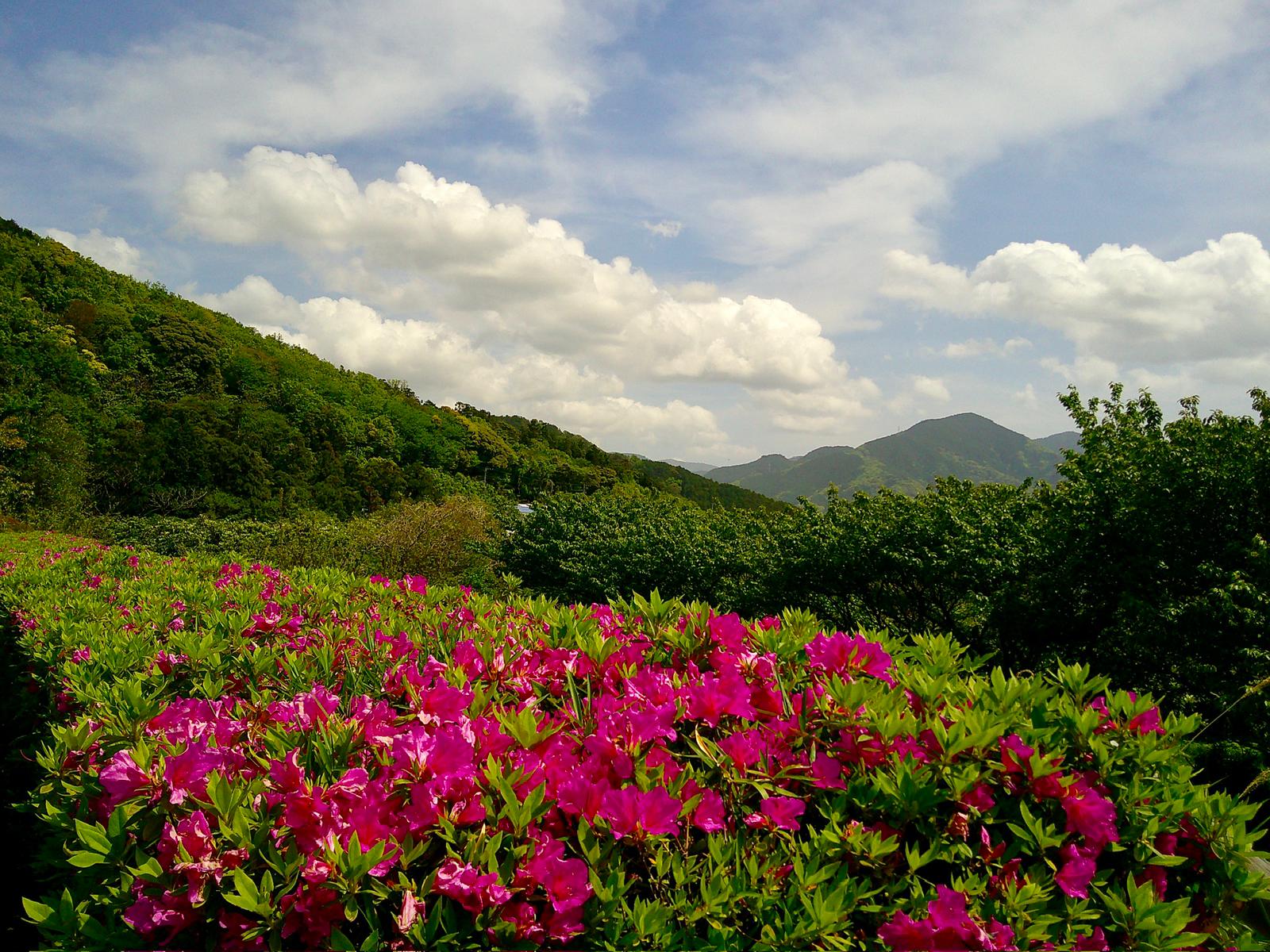 恋人岬