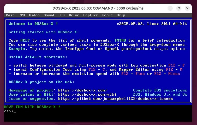 How To Run Old DOS Games And Apps Using DOSBox X Hosting Mate How To Run Old Dos Games And Apps Using Dosbox X.webp