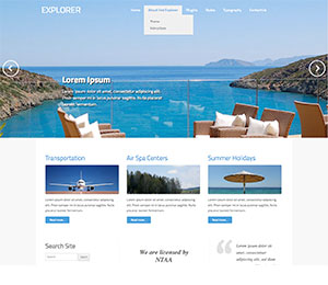 · before you start · web inspector basics · chrome · firefox · safari · internet explorer. Travel WordPress Theme - Hot Explorer - HotThemes