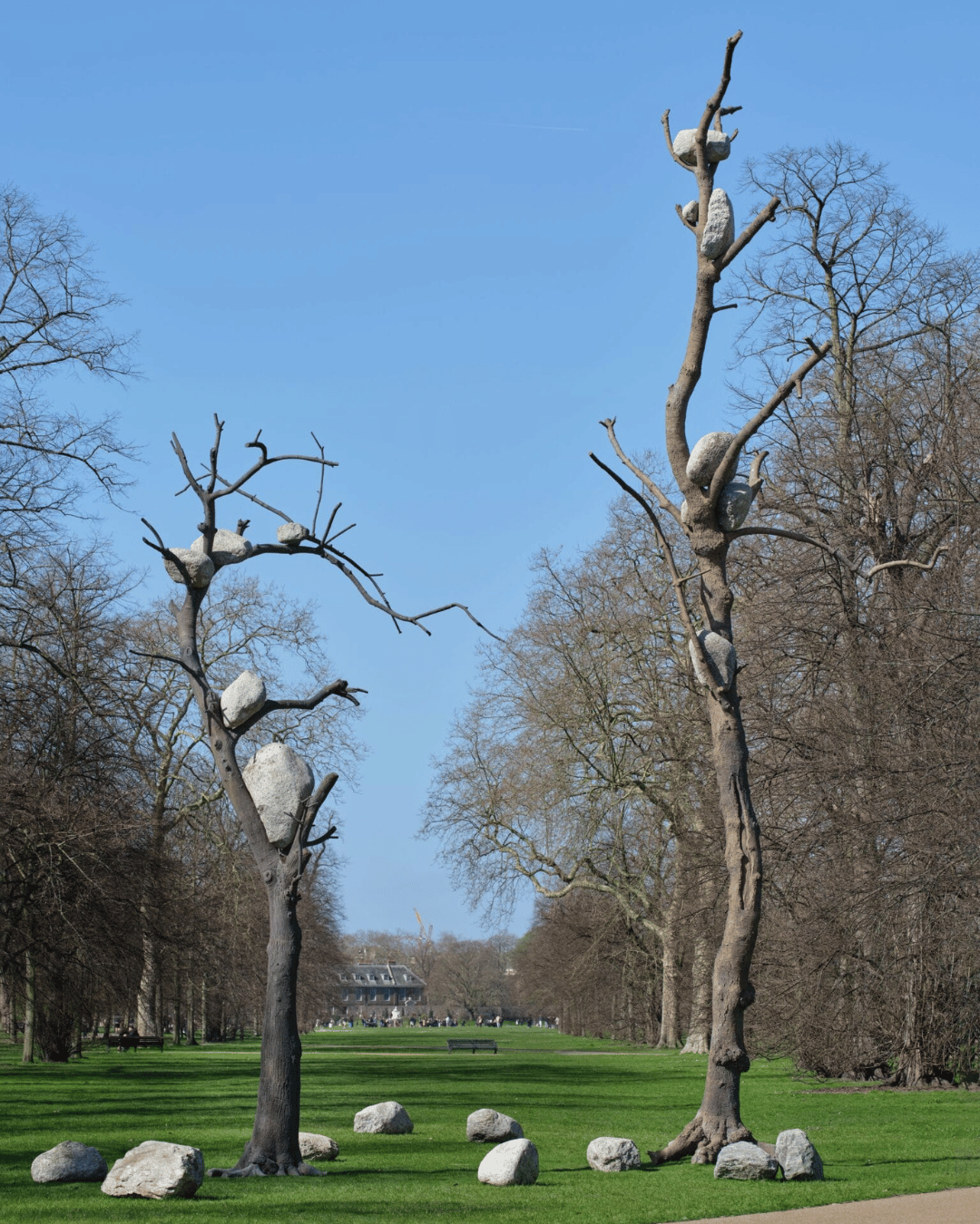 Giuseppe Penone Has Been Listening To Trees For More Than 50 Years Giuseppe Penone Has Been Listening To Trees For More Than 50 Years - 4-4