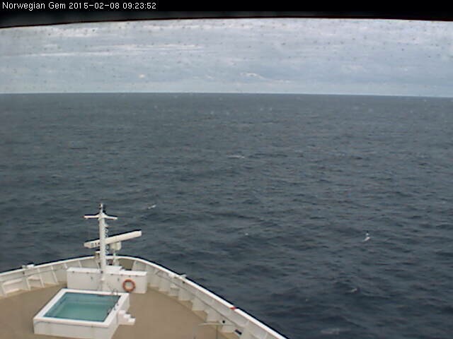 Norwegian Cruise Line Webcams February 08 Hotelcurly