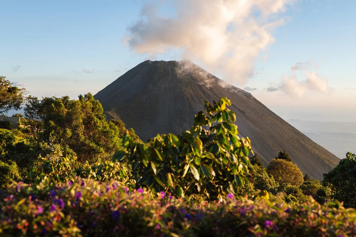 Espectacular toma del Volcán de Izalco con ligeras nubes en su cima, enmarcado por flores silvestres moradas y densa vegetación tropical.