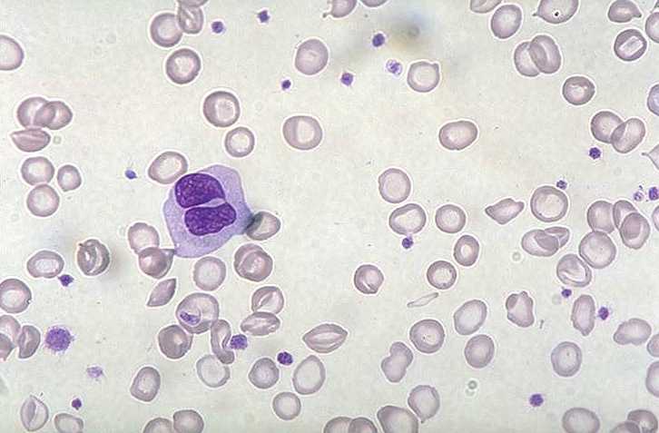 HOTMED Dicas quentes e atualizações na área médica, para estudantes