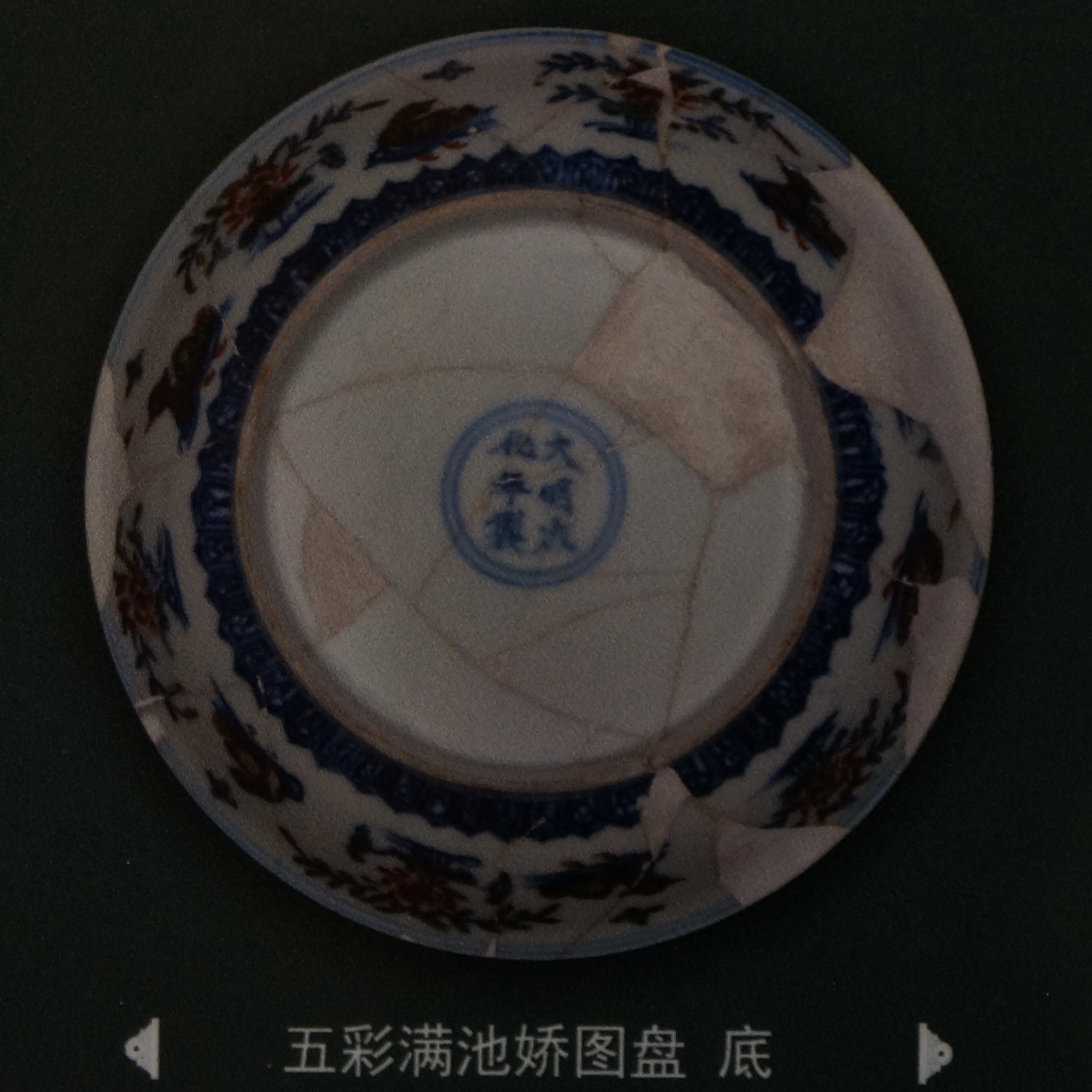 明 成化(1465-1487)五彩满池娇图盘 ©️Hou Mengwei