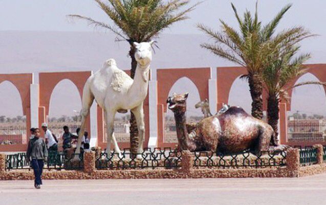 أولياء و أباء بأسا الزاك يستنكرون اختلالات في نتائج إمتحانات الجامعة الخاصة للصحة