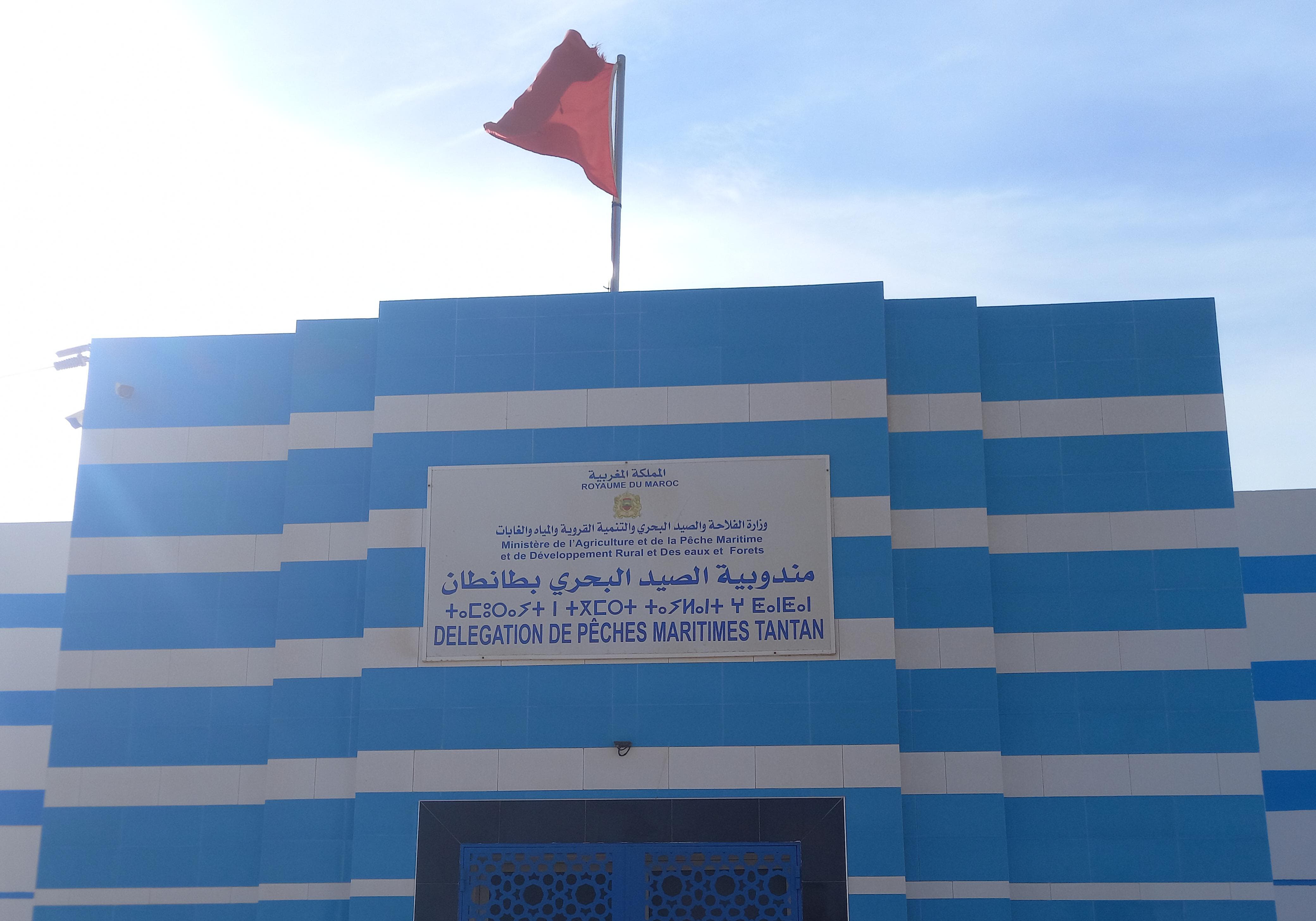 مندوبية الصيد البحري بطنطان تقنين صيد الأخطبوط بـ400 كيلوغرام كحد أقصى