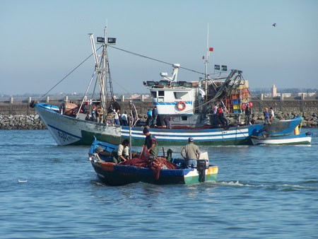 فقدان بحارة قارب أسفي