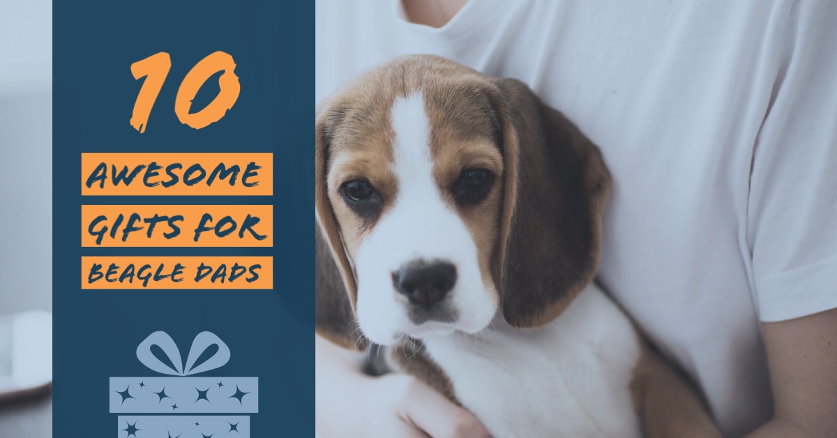 Beagle 2025 ring holder