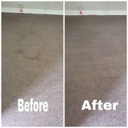 Oyher Carpet Cleaning Hendersonville Tn Culture