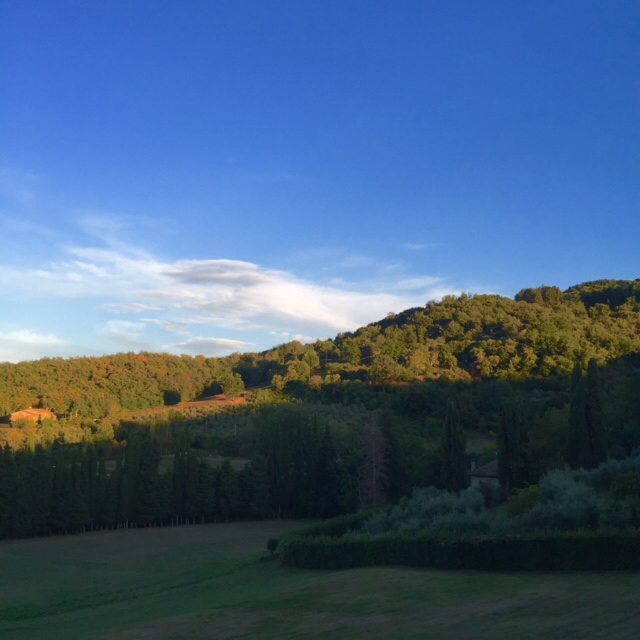 Dusk view from room.