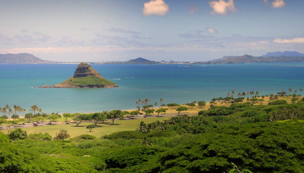 They’re fun for children and they liven up a home but they’re also a responsibility. The Top 5 Best Of Ads On Craigslist Oahu