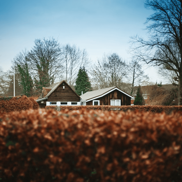 Gardening Tips for Every Season