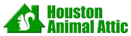 Attic animal pest houston, wildlife control in texas