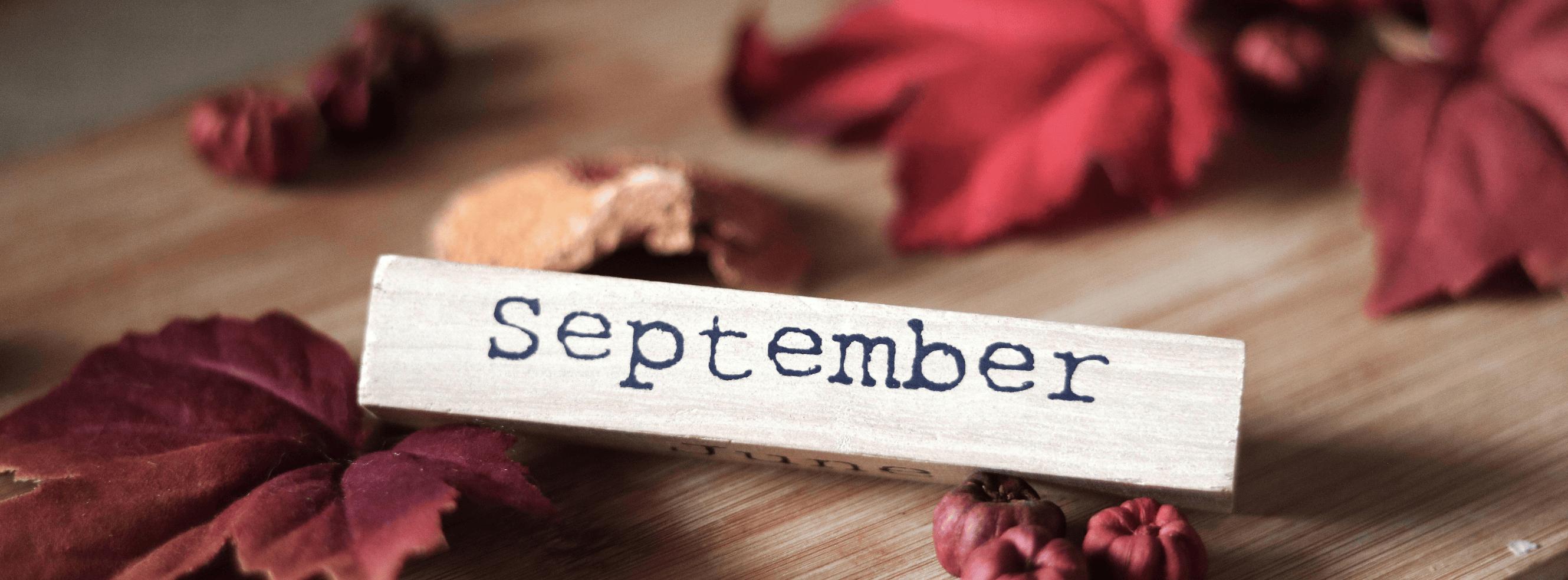 September Houston Races: Your Guide to Fall Racing Season