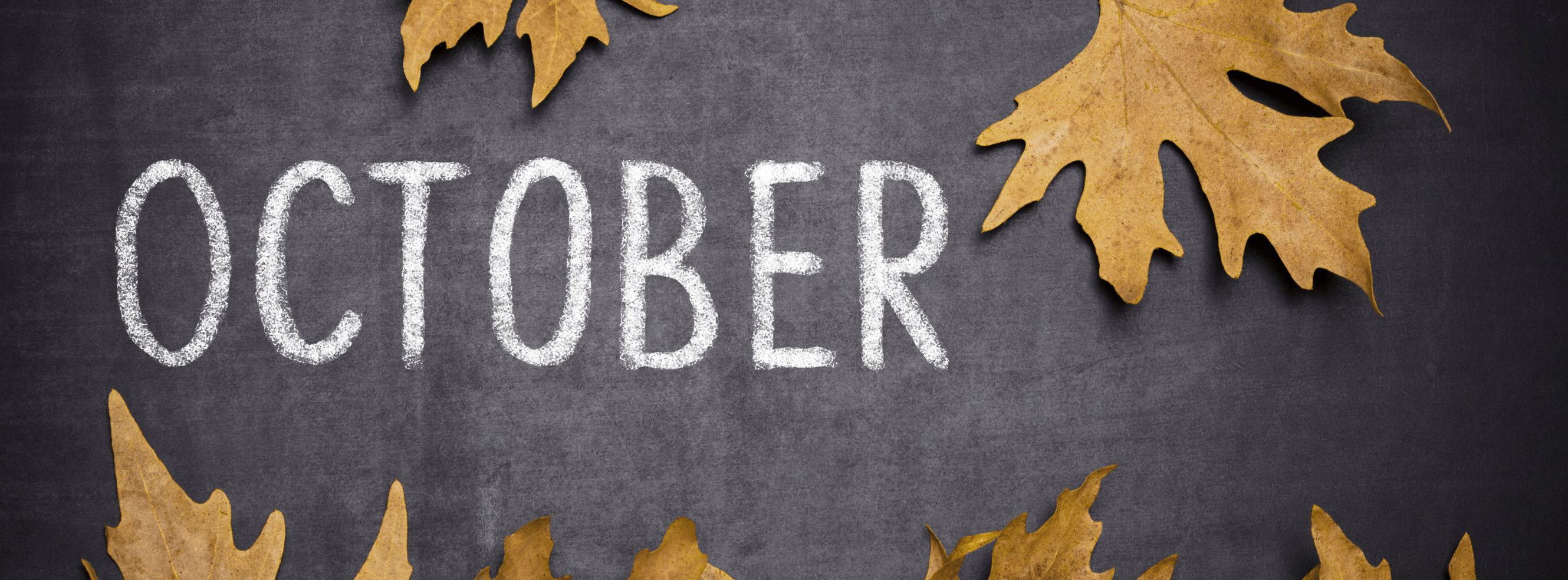 October Houston Races to Add to Your Calendar