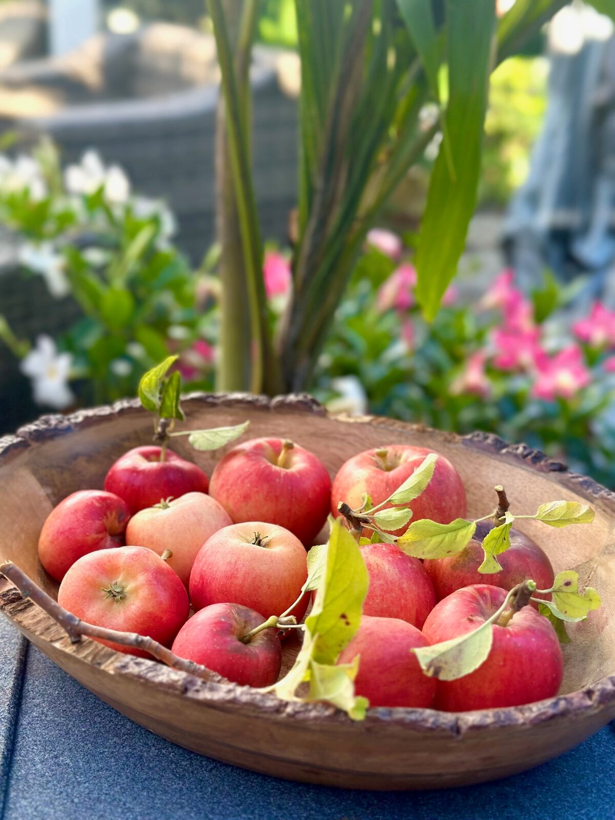 Apples in a bowl
