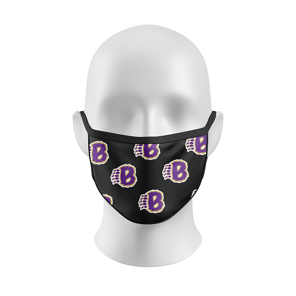 Briggs20PatternCL4000