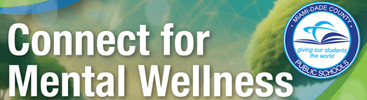connect for mental wellness
