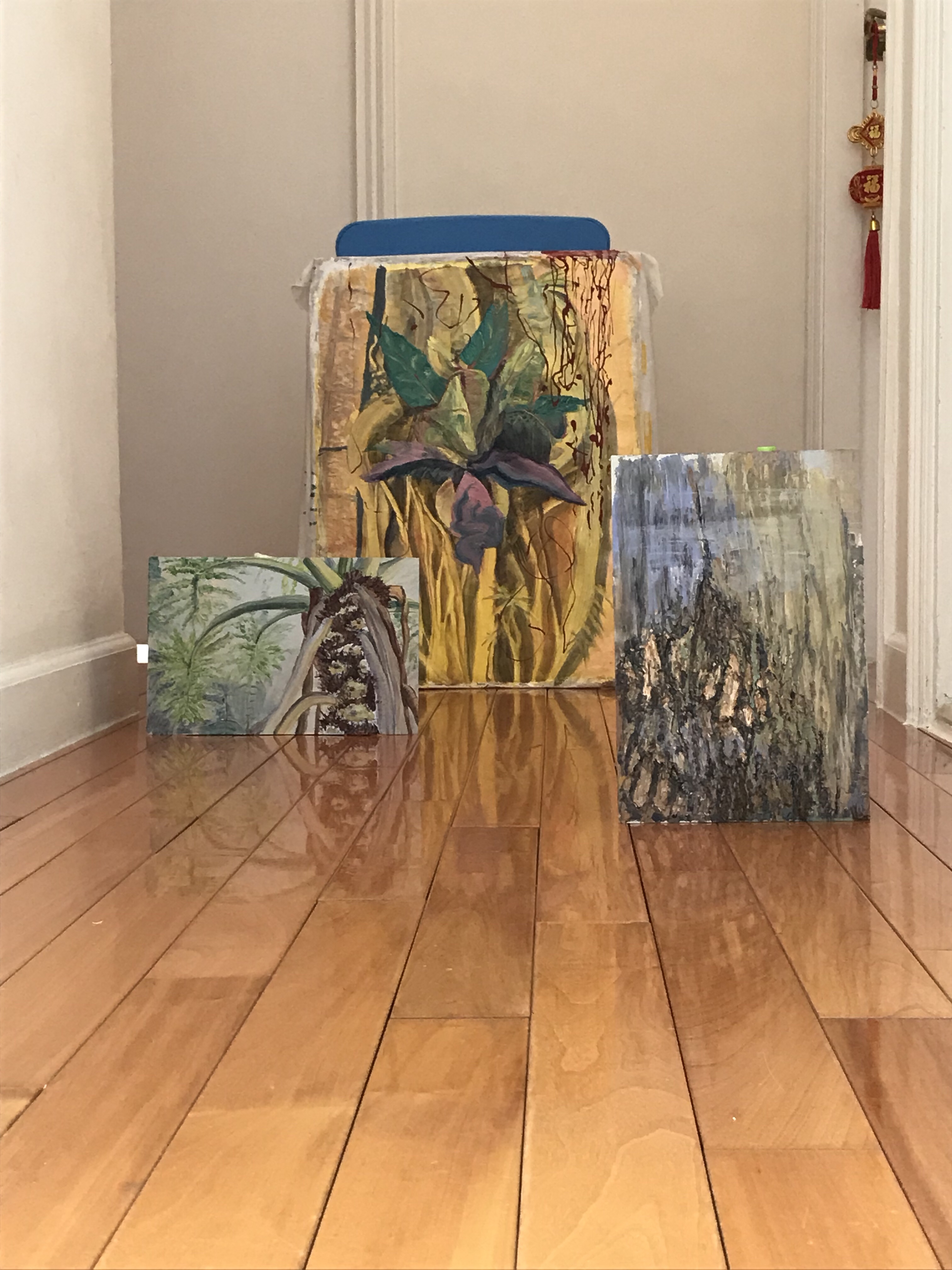 Reflections down the hall