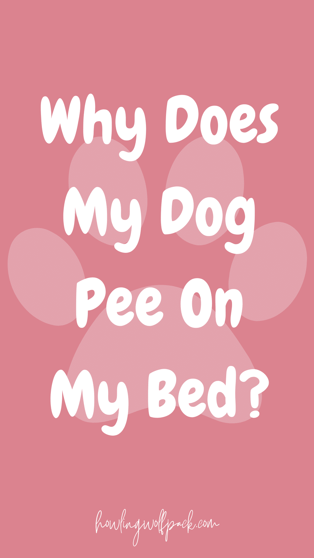 Why Does My Dog Pee On My Bed? Unraveling the Mystery