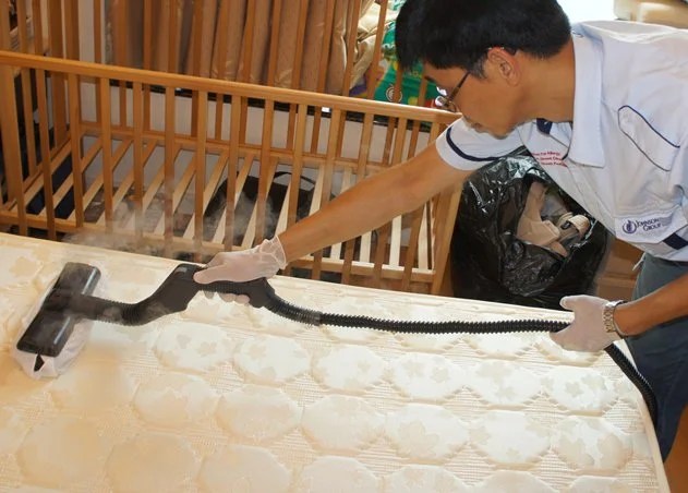 37+ Luxury Best Steam Cleaner For Bed Bugs - What is the Best Steam Mop for Your Type of Floors - Possible causes, signs and symptoms, standard treatment options and means of care and support.