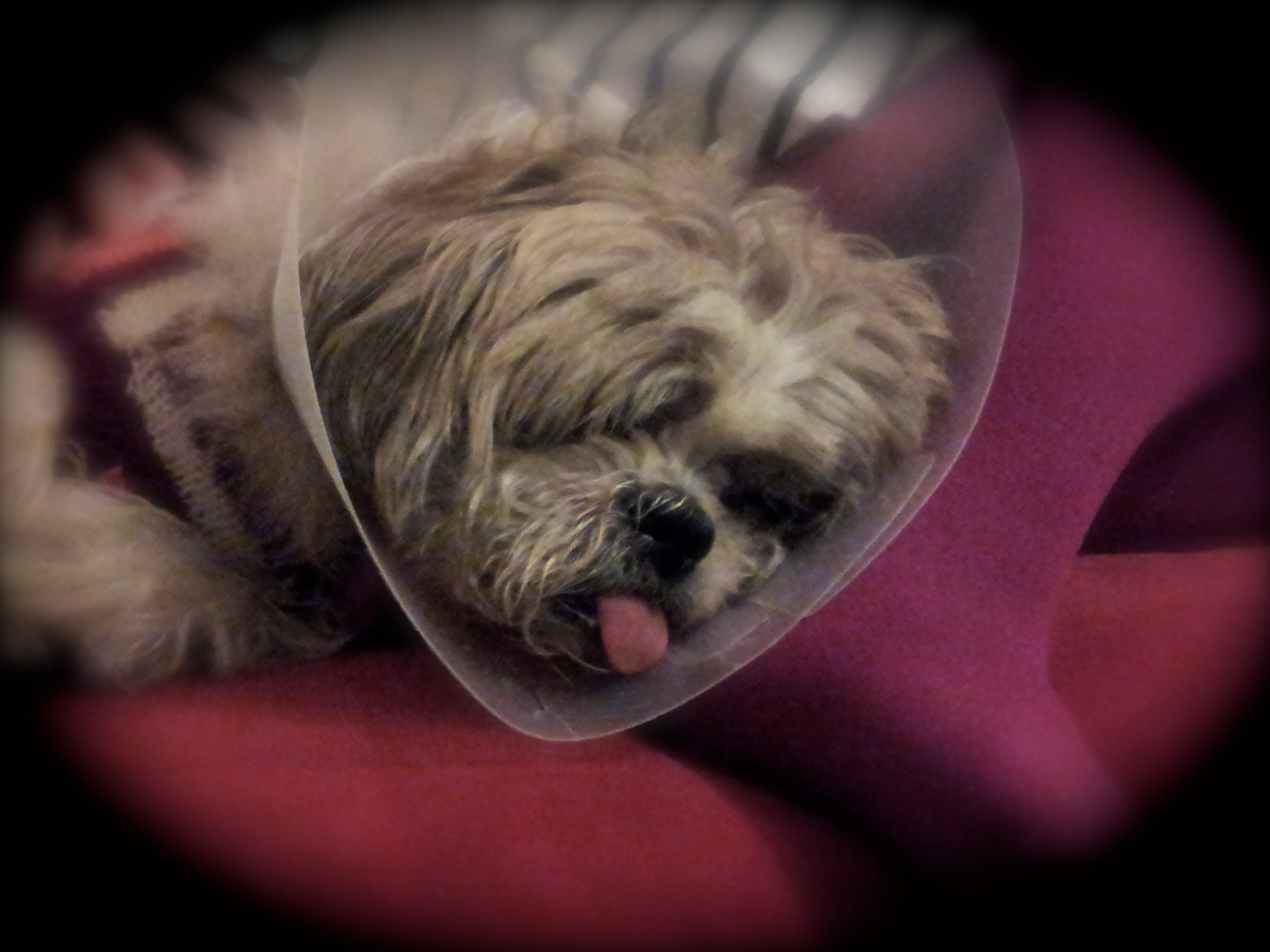 Agitation can also be a side . Spitalfields How Things Are Done